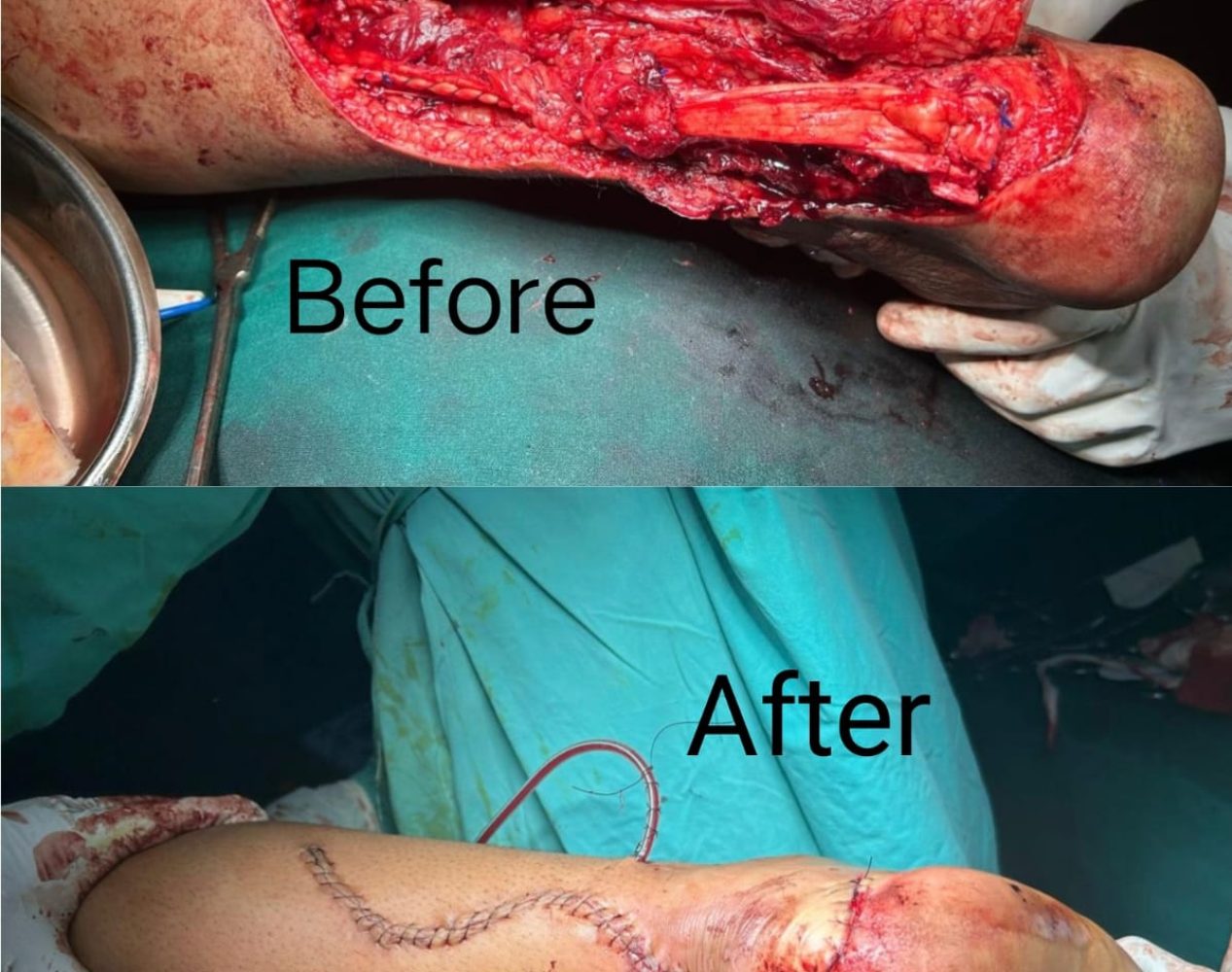 WhatsApp Image 2026-03-23 at 10.12.37 PM